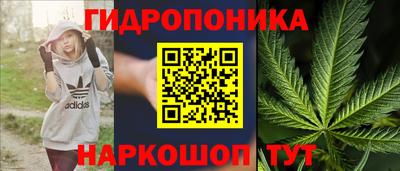 ПСИЛОЦИБИНОВЫЕ ГРИБЫ Жуковский