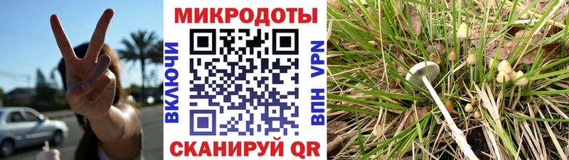 где найти   Минусинск  Галлюциногенные грибы мицелий 