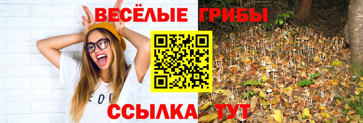 Псилоцибиновые грибы Magic Shrooms Минусинск