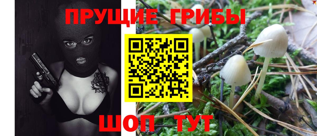 Галлюциногенные грибы мицелий Минусинск