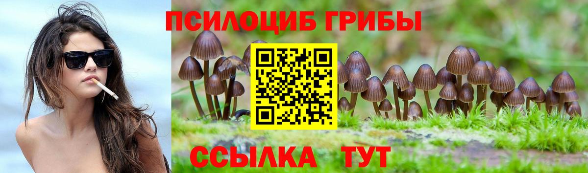 Псилоцибиновые грибы ЛСД  Псилоцибиновые грибы прущие грибы  Минусинск  Вход с VPN 
