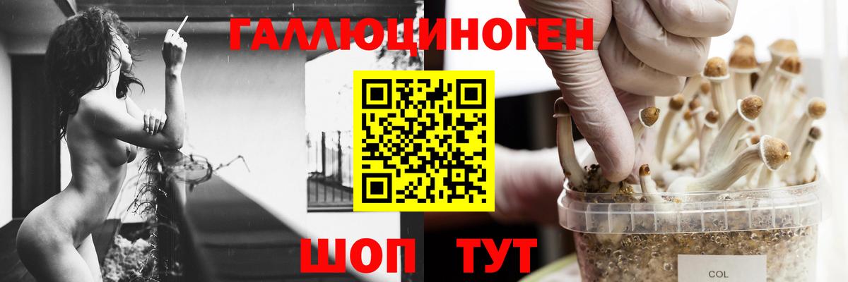 Галлюциногенные грибы мицелий  Минусинск  Галлюциногенные грибы прущие грибы 